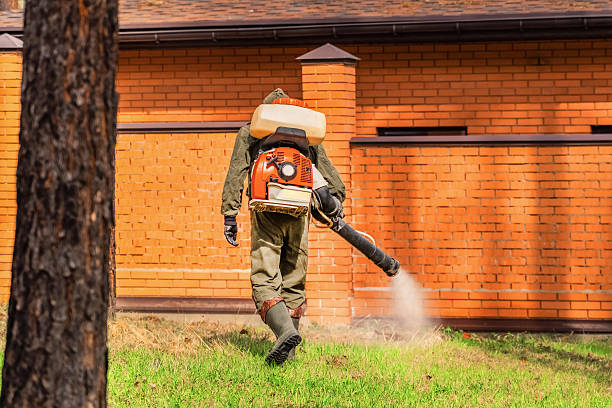 Trusted Termite Control service in Fultondale, AL - Nex Pest Control